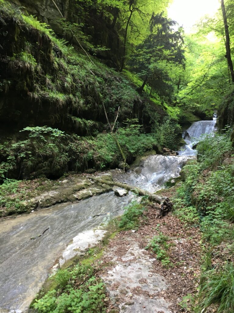 Kleine Wasserfälle über glatte Felsen in der Twannbachschlucht im Wald