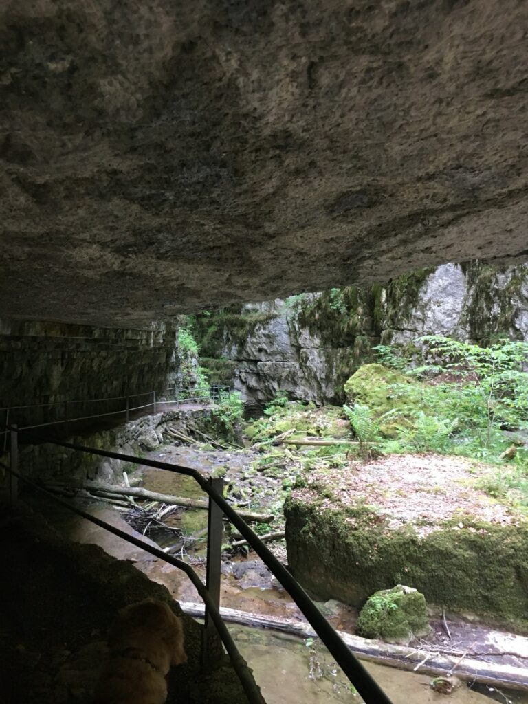 Wanderweg unter Felsüberhang in der Twannbachschlucht mit Blick in die Schlucht