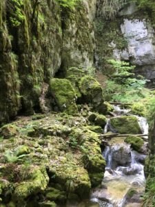 Moosbedeckte Felsen und kleiner Bachlauf in der Twannbachschlucht mit Höhlenöffnung