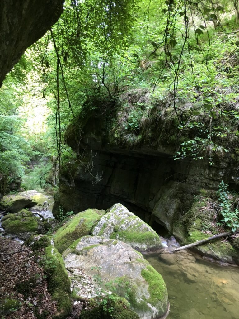 Moosbedeckte Felsen und Wasserlauf in der kühlen Twannbachschlucht
