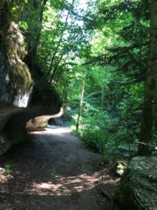Schattiger Wanderweg mit Felsüberhang in der Twannbachschlucht im Sommer
