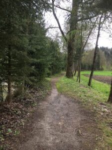 Schmaler Waldweg entlang eines Baches auf der Wanderung von Ueberstorf Richtung Thun
