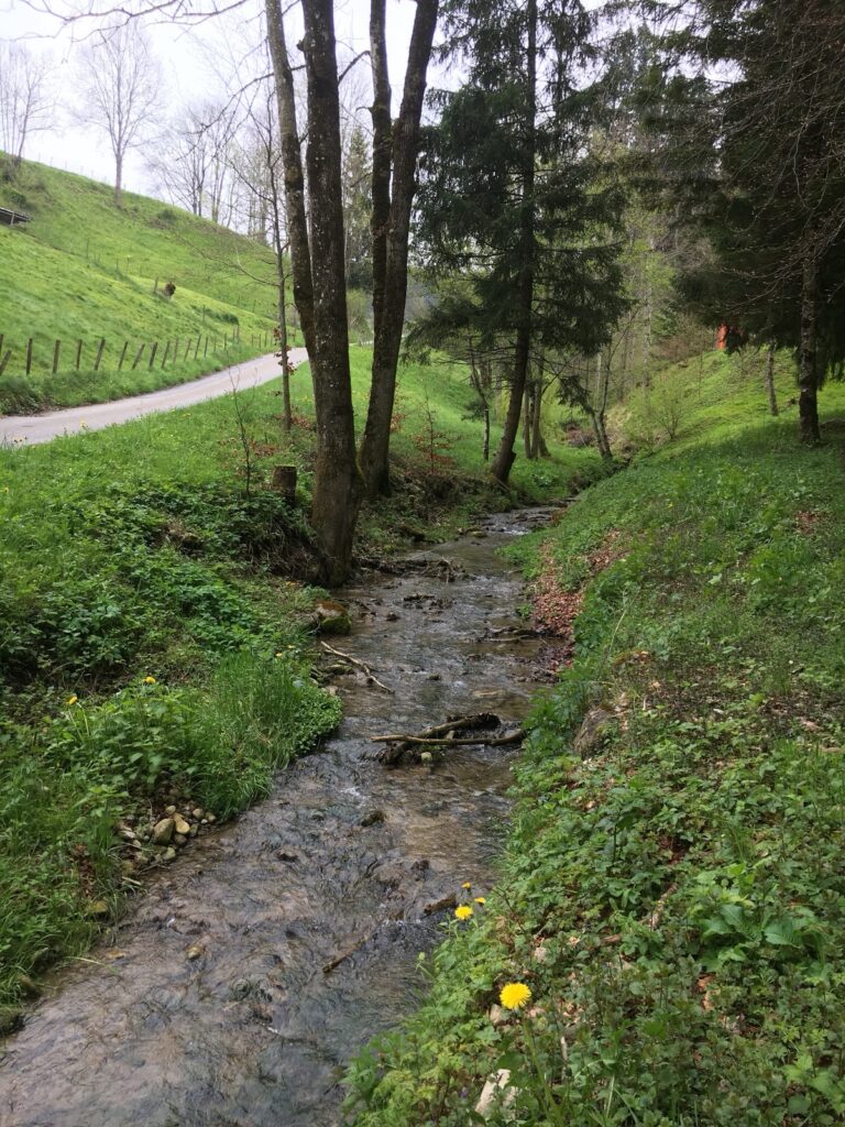 Kleiner Bach entlang eines Wanderwegs bei Ueberstorf im Gürbetal, umgeben von grünen Wiesen und Bäumen im Frühling