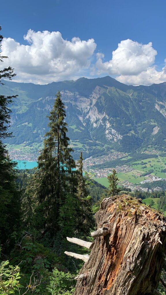 Blick auf Brienz und den Brienzersee von der Axalp 