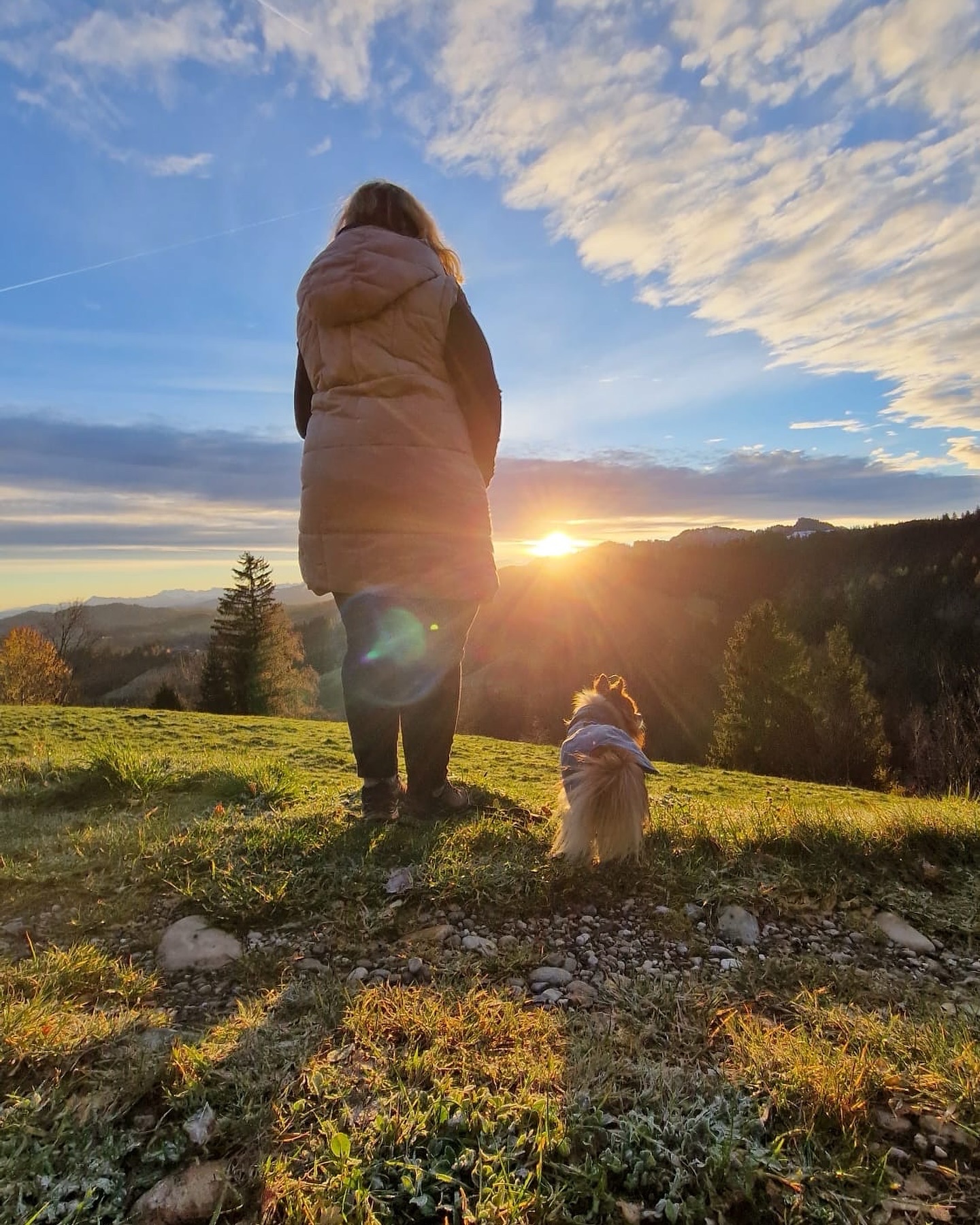 Frau steht mit kleinem Hund in der Natur bei Sonnenuntergang – Symbol für ihren Weg beim nachhaltigen Abnehmen und persönliche Veränderungen im Alltag