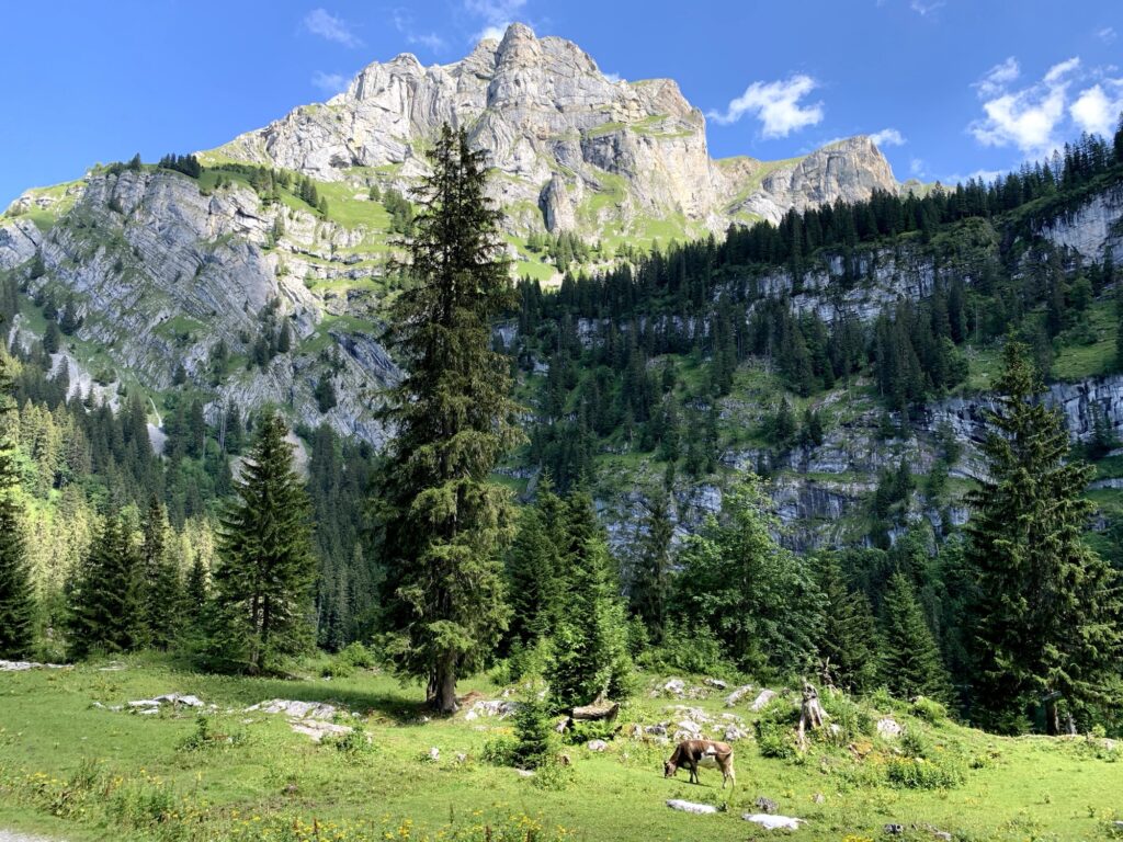 Berglandschaft bei der Wanderung zum Hinterburgseeli im Berner Oberland