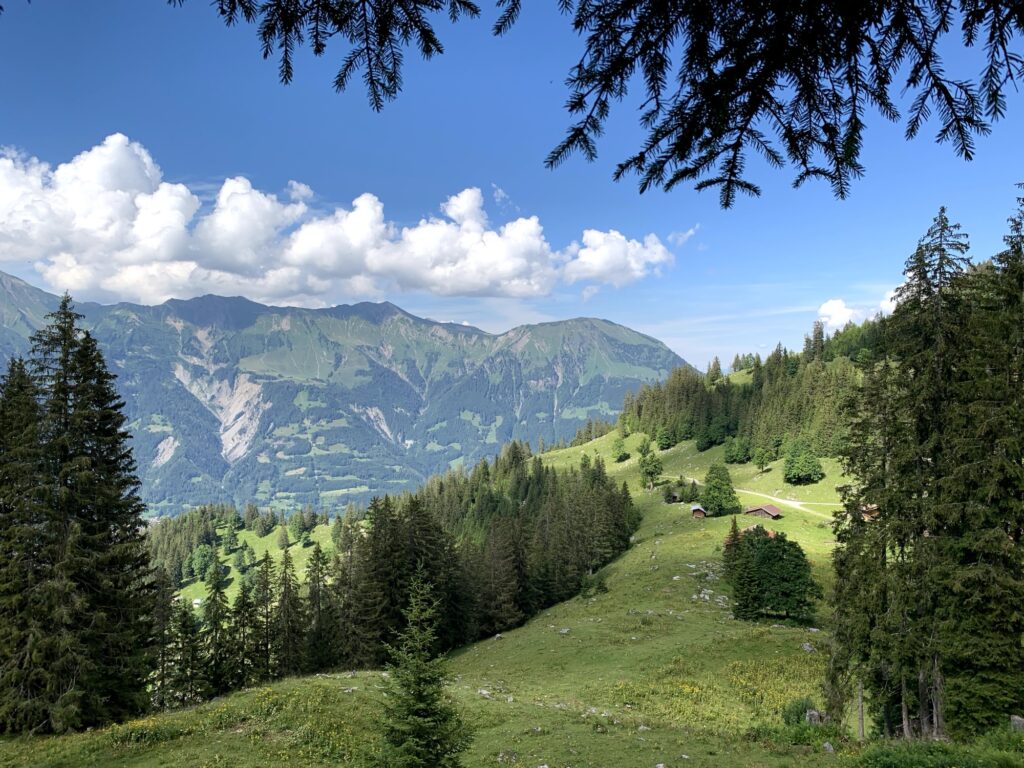Aussicht beim Wandern auf der Axalp im Berner Oberland 