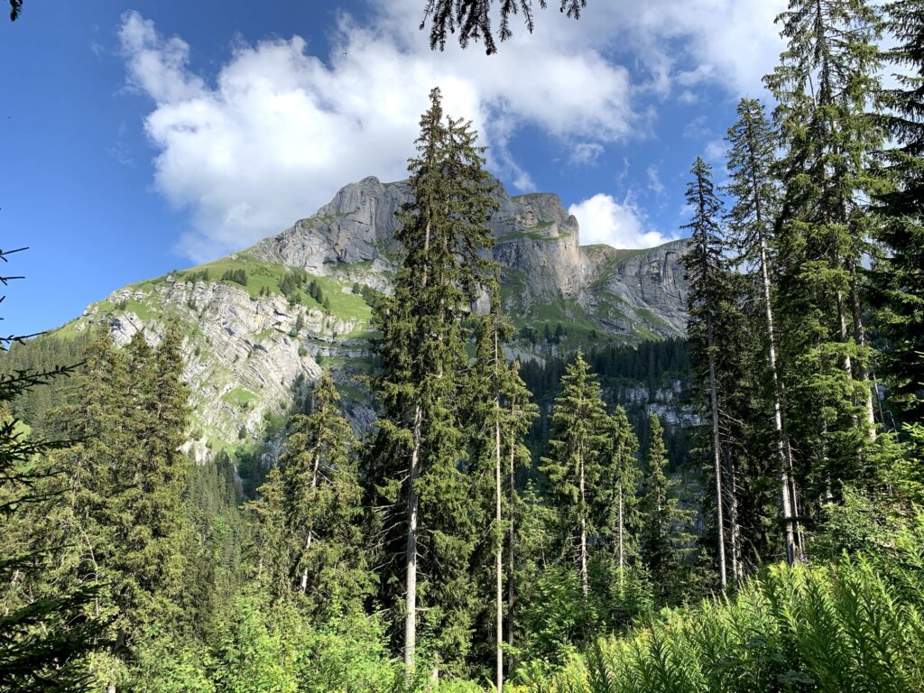 Bergpanorama rund um das Hinterburgseeli 