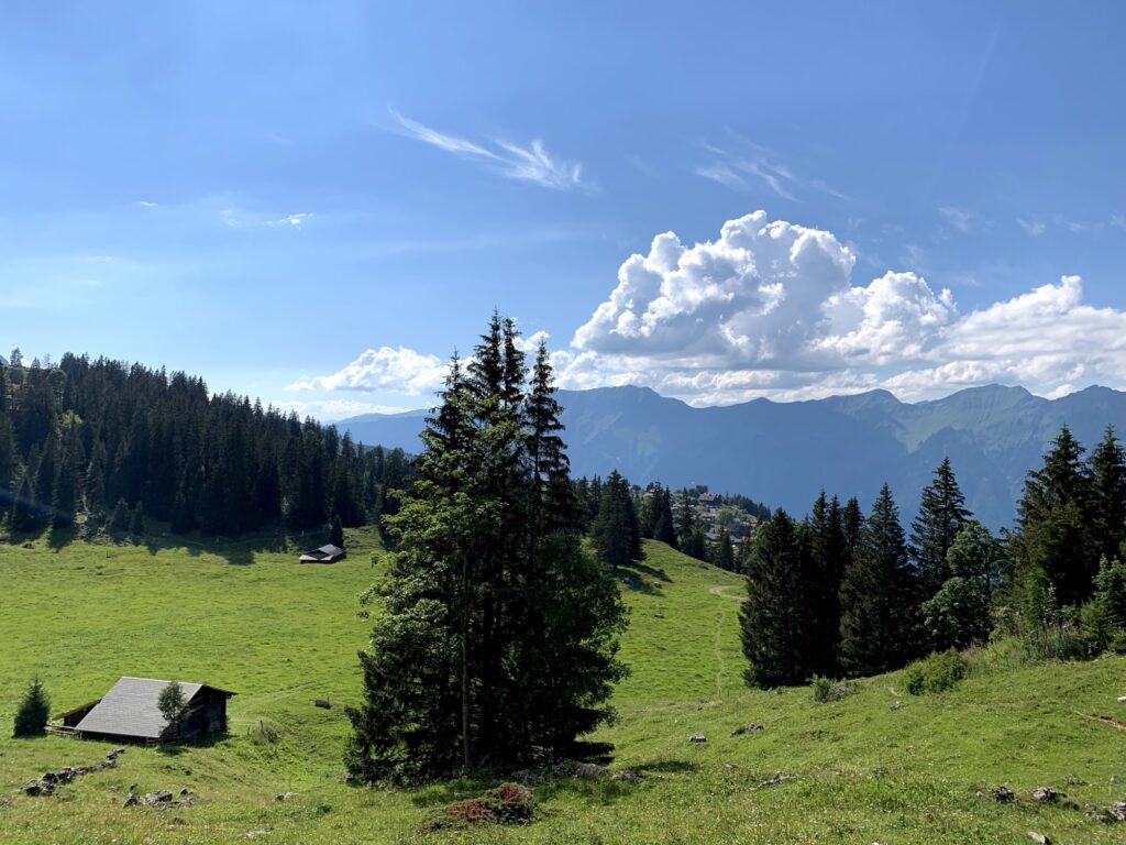 Panoramaweg im Berner Oberland mit Bergsicht 