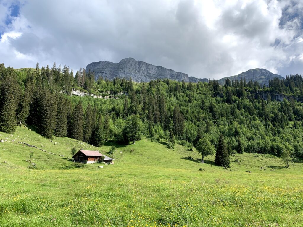 Alpwiese und Berglandschaft bei der Axalp Wanderung 