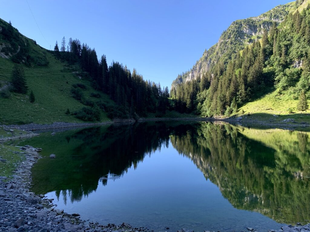 Ruhiger Bergsee mit Spiegelung von Wald und Bergen in den Schweizer Alpen am Sommerabend