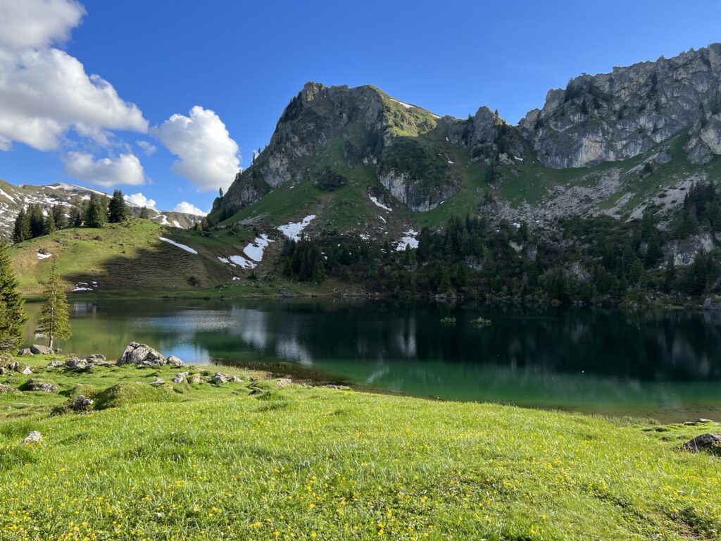 Kleiner Bergsee in den Alpen mit grünen Wiesen, Felsen und letzten Schneeresten im Frühsommer