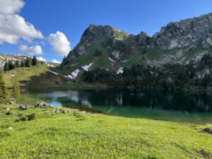 Kleiner Bergsee in den Alpen mit grünen Wiesen, Felsen und letzten Schneeresten im Frühsommer