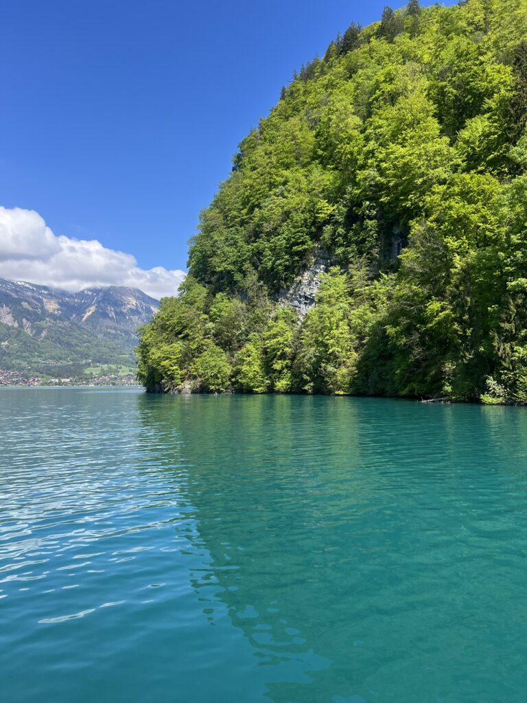 Türkisblauer Bergsee in der Schweiz mit dichtem grünen Wald und sommerlicher Spiegelung im Wasser