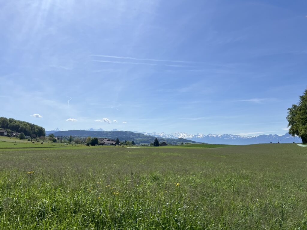 Weite Wiesenlandschaft mit Alpenblick auf der Wanderung bei Bern und Vechigen ✨