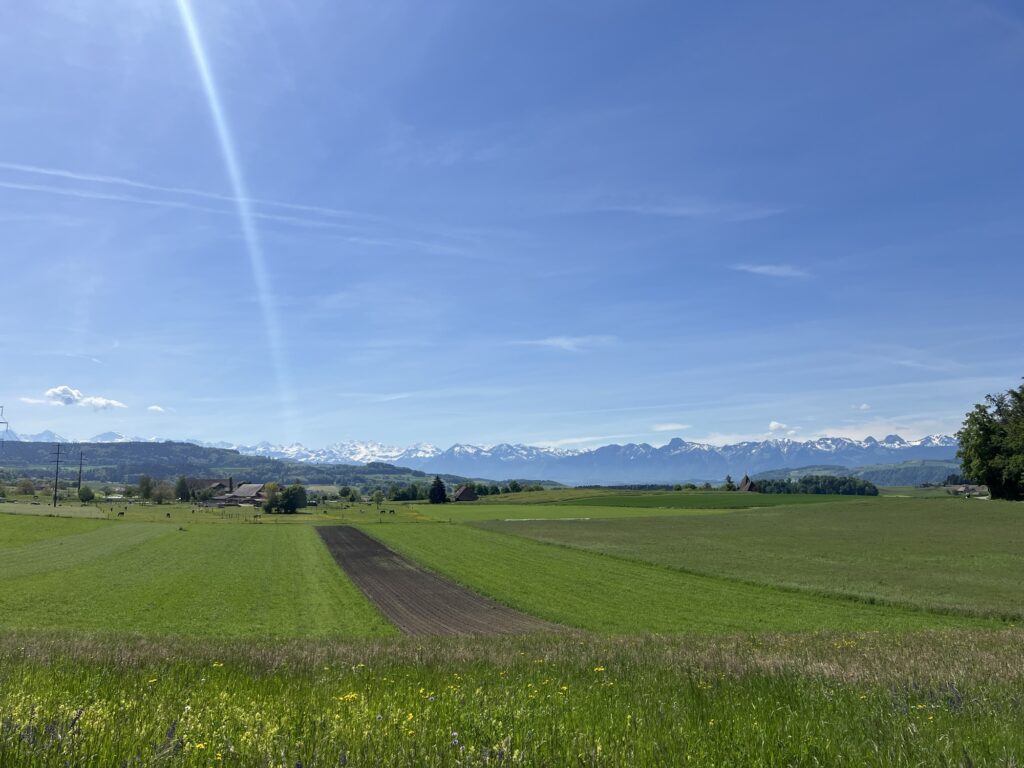 Panorama mit Sicht auf die Berner Alpen bei der Rundwanderung ab Worb