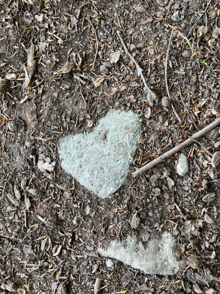 Herzstein auf Waldweg bei der Wanderung über den Worbberg Richtung Mänziwilegg