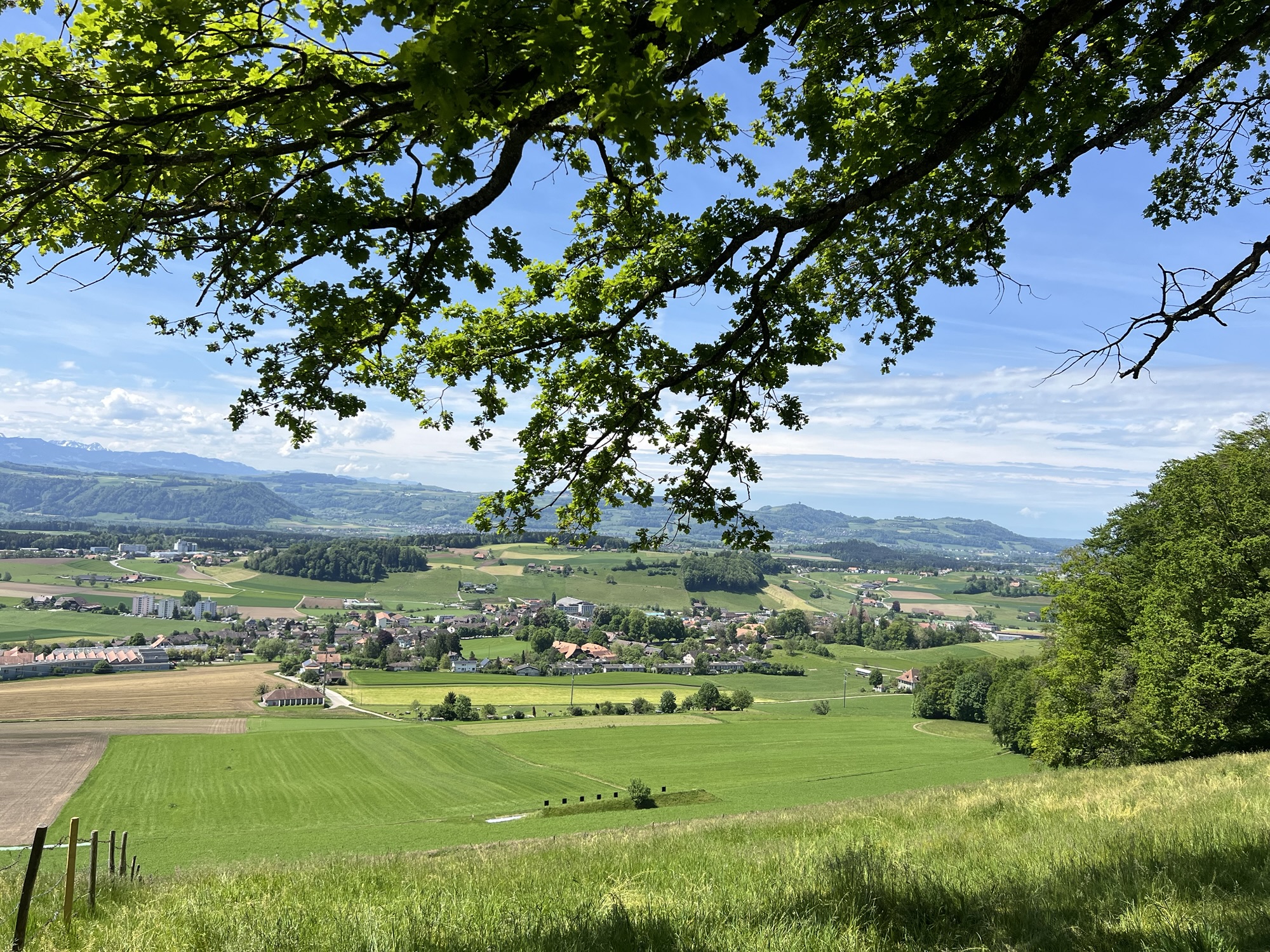 Aussicht über die Hügellandschaft bei Worb mit Blick Richtung Berner Oberland