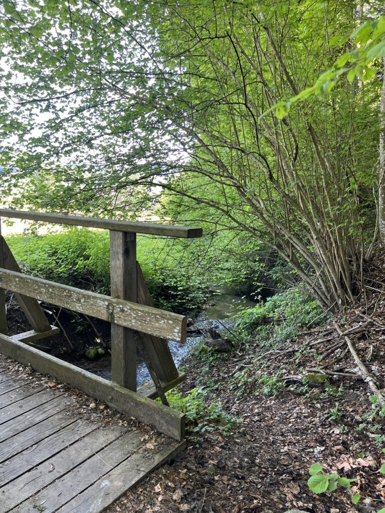 Kleine Holzbrücke über Bach im schattigen Wald auf der Wanderung Worb – Mänziwilegg