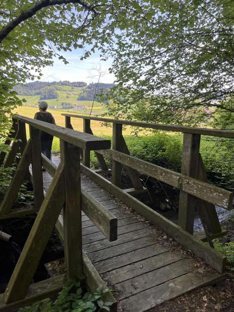 Holzbrücke im Wald bei Worb auf der stadtnahen Rundwanderung im Emmental