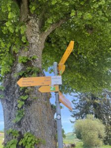 Wanderwegweiser Richtung Mänziwilegg und Oberburg bei der Wanderung ab Worb