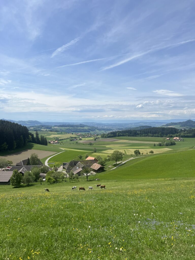 Panorama über die grüne Hügellandschaft rund um Worb und Vechigen bei Bern