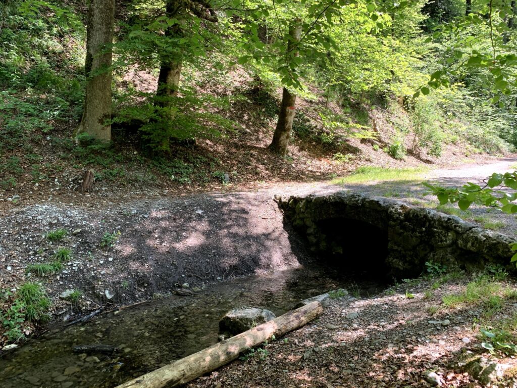 Wanderweg mit Brücke am Glütschbach bei Thun umgeben von dichtem Wald