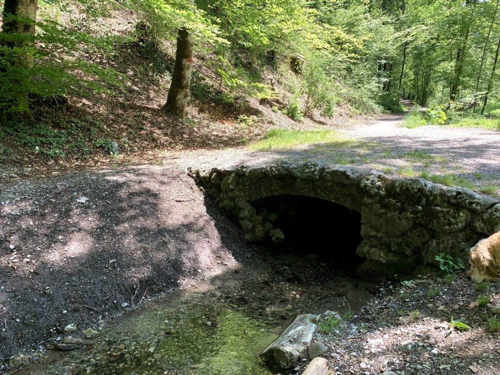 Steinbrücke am Glütschbach bei Thun mit Bachlauf und Waldweg