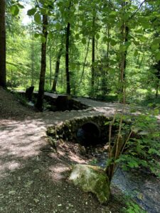 Steinbrücke am Glütschbach bei Thun mit Bachlauf und Waldweg