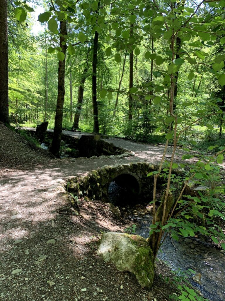 Steinbrücke am Glütschbach bei Thun mit Bachlauf und Waldweg