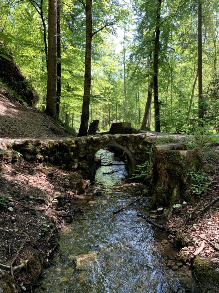 Kleine Steinbrücke über den Glütschbach bei Thun im schattigen Wald