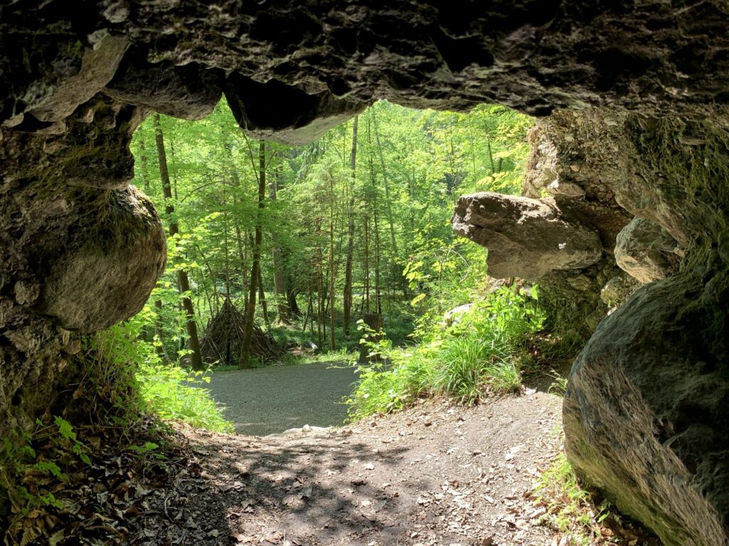 Blick aus einer Höhle am Glütschbach bei Thun hinaus in den Wald mit Wanderweg
