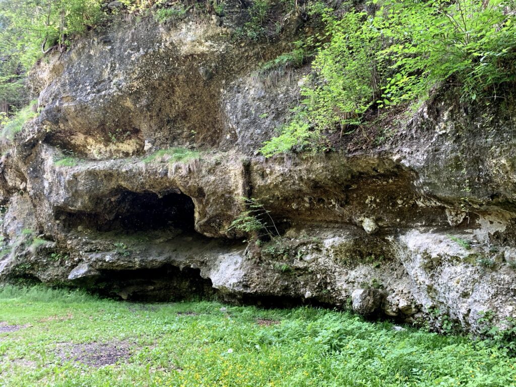 Felswand mit natürlichen Höhlenformationen am Glütschbach bei Thun umgeben von Wald