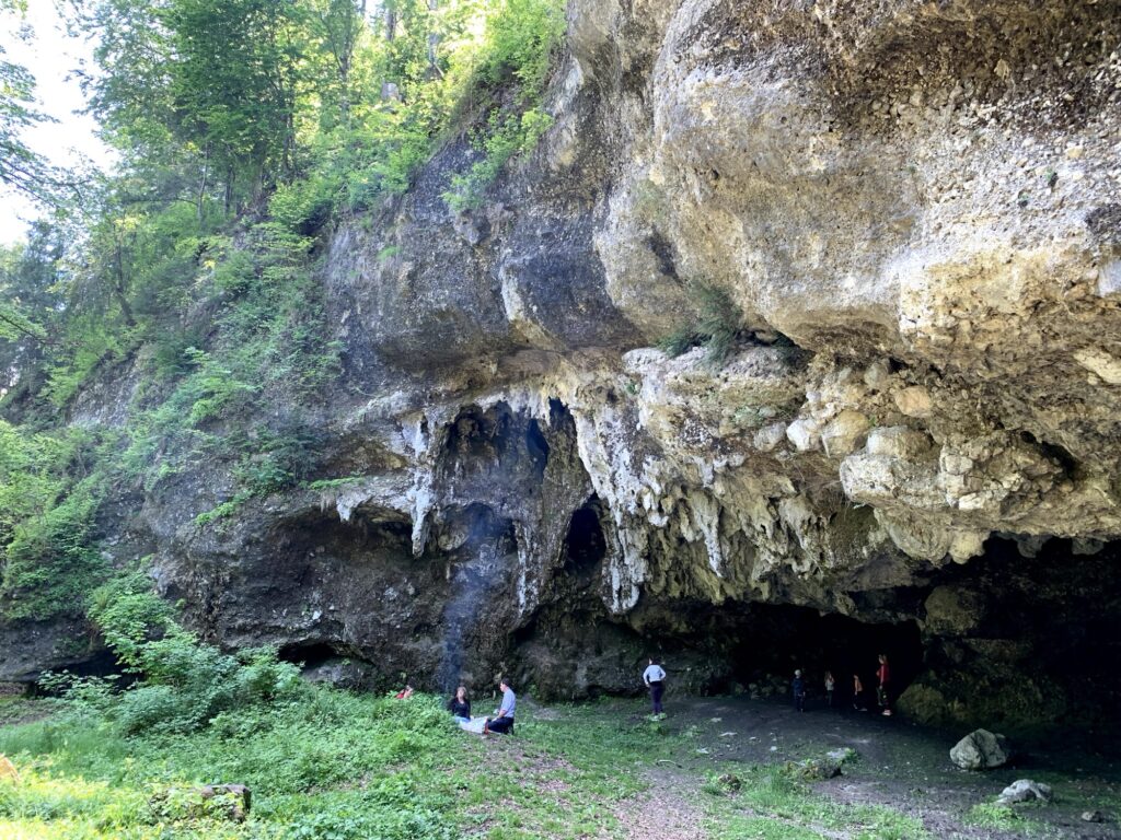 Felswand mit Höhleneingang am Glütschbach bei Thun umgeben von grünem Wald