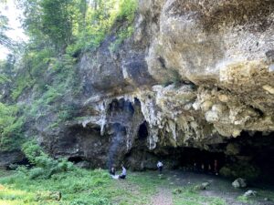 Felswand mit Höhleneingang am Glütschbach bei Thun umgeben von grünem Wald