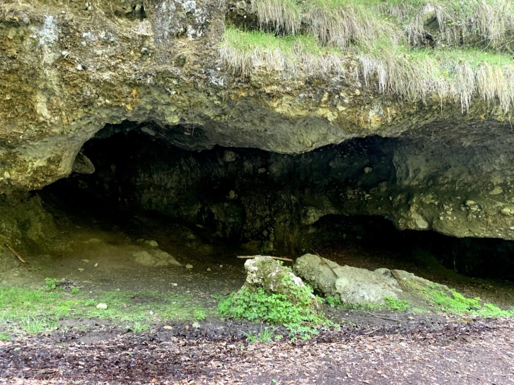 Flache Felsgrotte am Glütschbach in Thun mit moosbewachsenen Steinen und Bachlauf