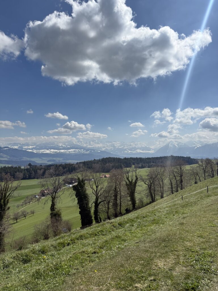 Panorama vom Belpberg mit Alpenblick und grünen Hügeln im Frühling