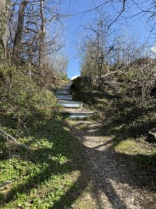 Steiler Wanderweg mit Treppenstufen durch Waldstück am Belpberg bei Bern