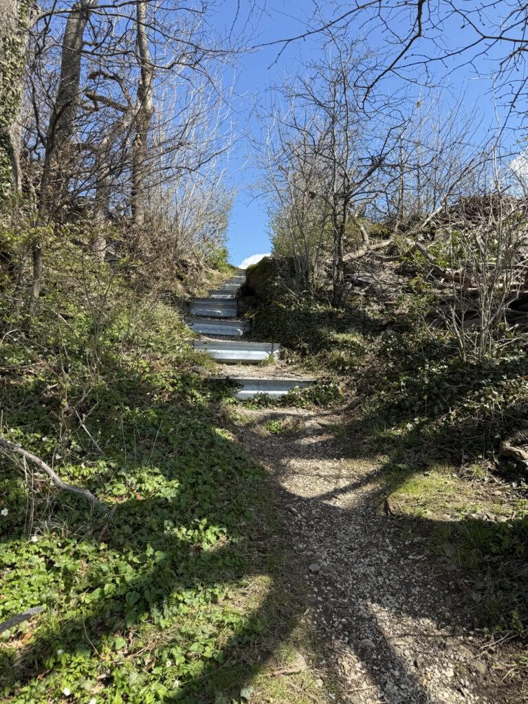 Steiler Wanderweg mit Treppenstufen durch Waldstück am Belpberg bei Bern