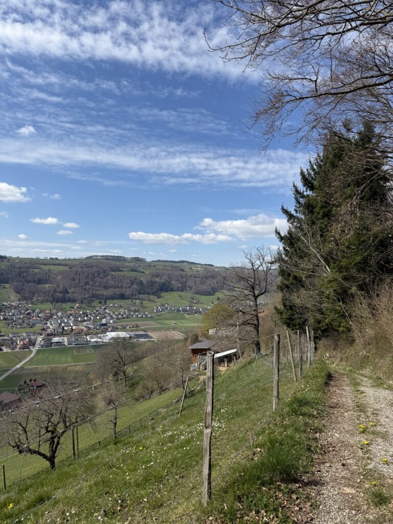 Wanderweg am Belpberg mit Aussicht auf Belp und grüne Frühlingslandschaft im Kanton Bern
