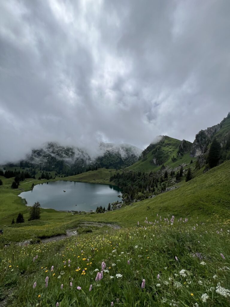 Bergsee in den Schweizer Alpen mit wilden Blumenwiesen, Nebel und stimmungsvoller Sommerlandschaft
