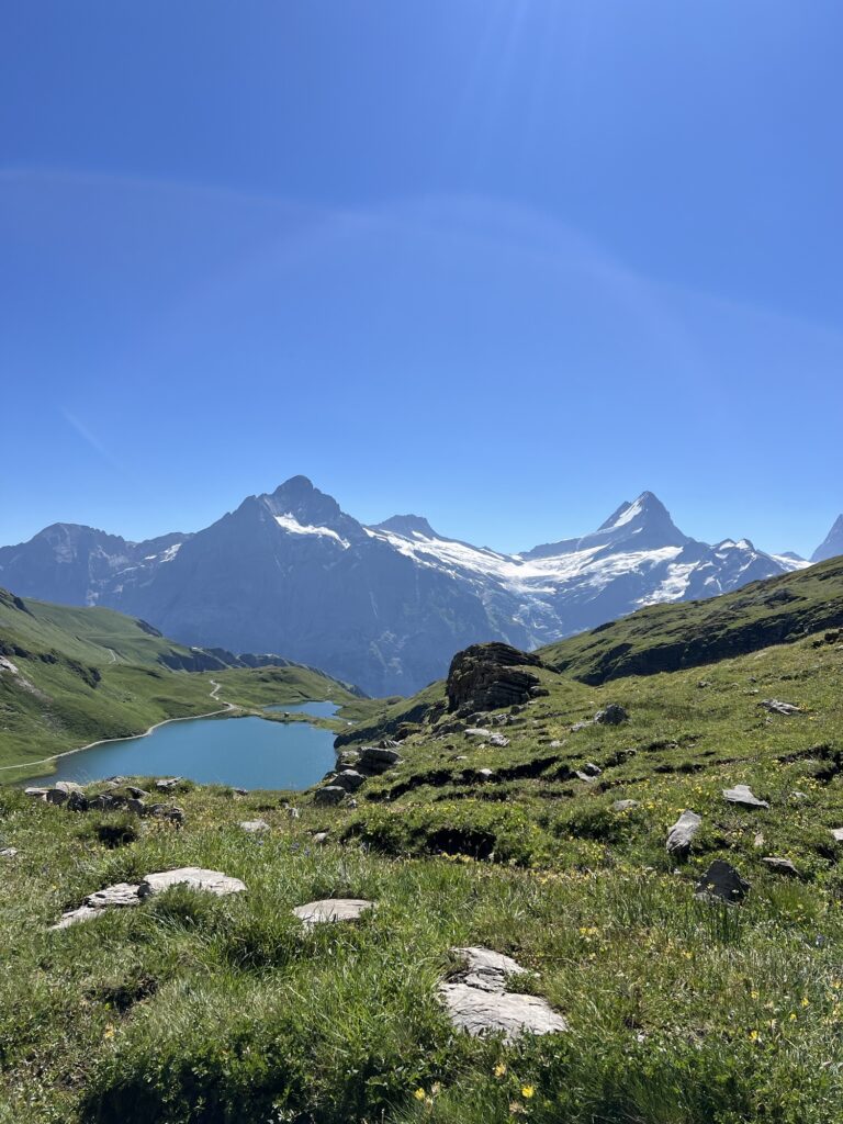 Panorama mit Bergsee, grünen Alpenwiesen und schneebedeckten Schweizer Bergen unter blauem Sommerhimmel