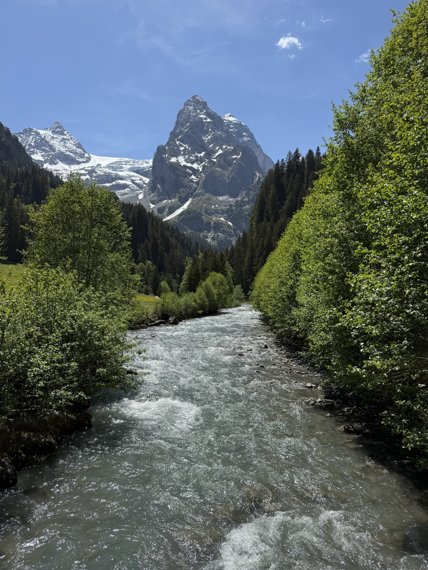 Rosenlauital mit Wellhorn und Rosenlauibach bei Meiringen