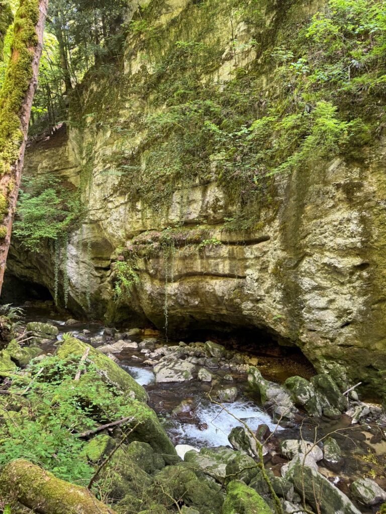 Felswand in der Areuse-Schlucht