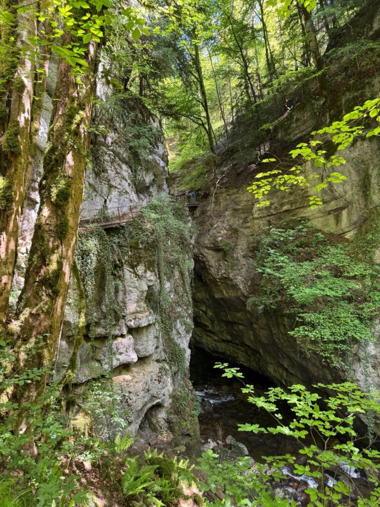 Steg durch die Areuse-Schlucht