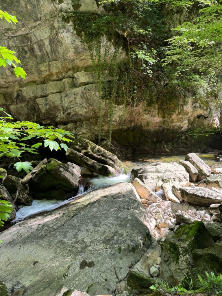 Felswand an der Areuse-Schlucht