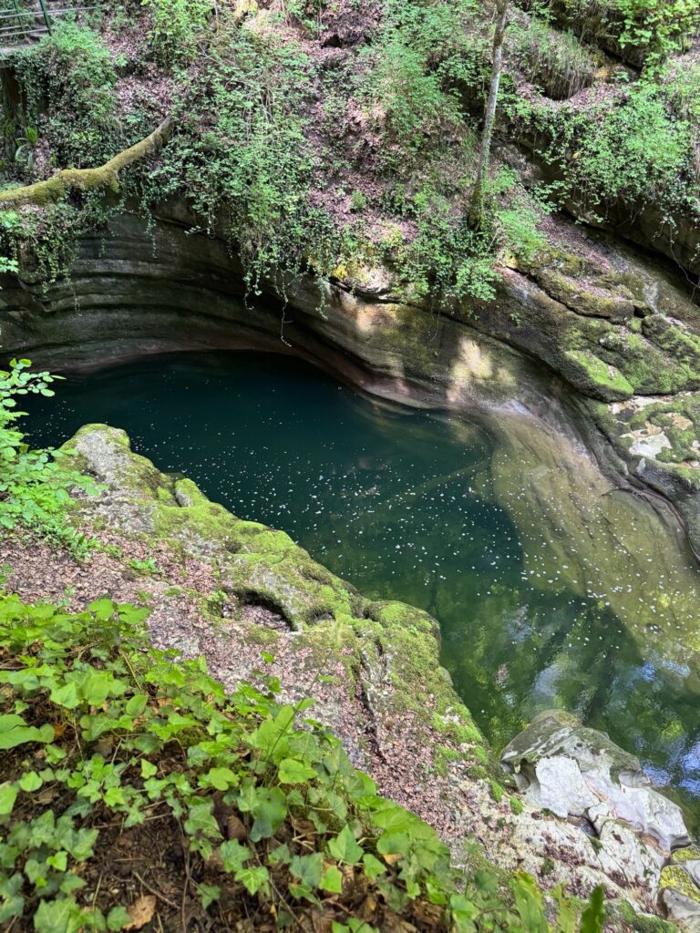 Grüner Pool der Areuse