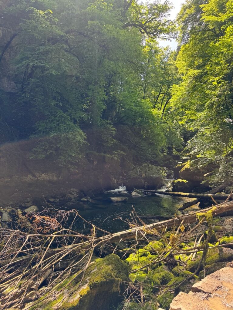 Naturbecken der Areuse