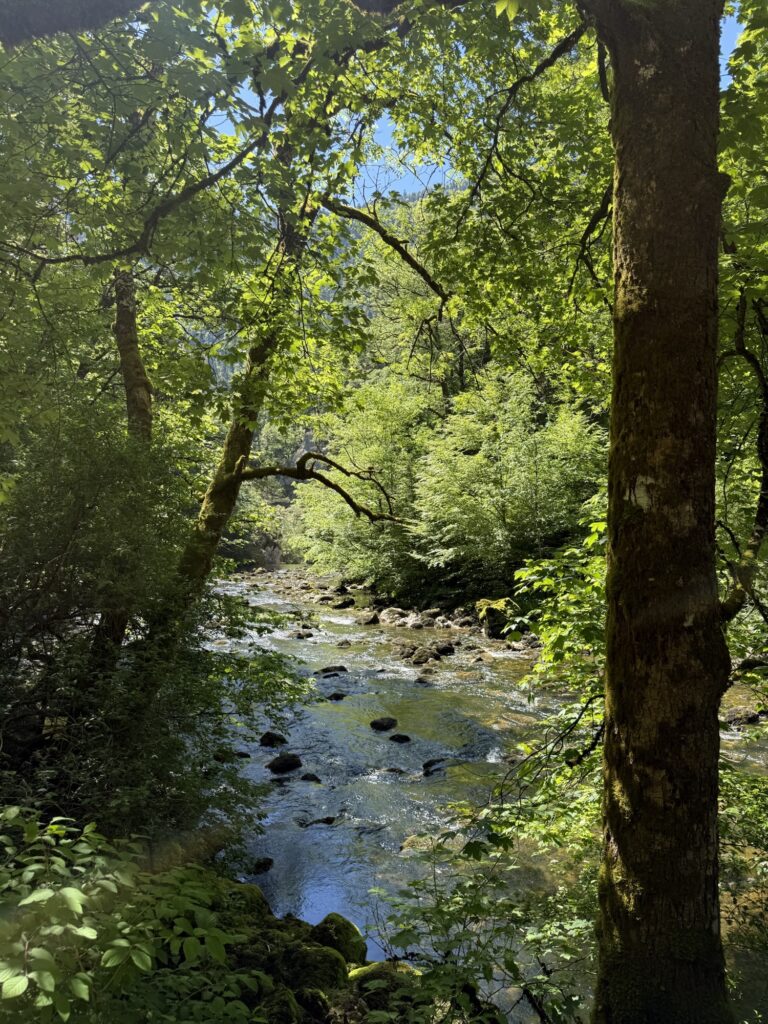 Schattiger Wanderweg entlang der Areuse mit Blick auf den klaren Fluss und den dichten Wald.