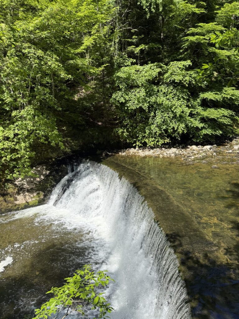 Kleiner Wasserfall der Areuse umgeben von Wald und moosbewachsenen Felsen in der Areuse-Schlucht.